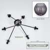 Koyoto Plafoniera, Lampada a sfera 77.5 cm Grigio fumo, 6-Luci