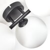 Chehalis Plafoniera, Lampada a sfera Bianco, 5-Luci