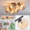 Chehalis Plafoniera, Lampada a sfera Ambrato, 5-Luci