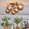 Chehalis Plafoniera, Lampada a sfera Cromo, Grigio fumo, 5-Luci