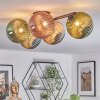 Chehalis Plafoniera, Lampada a sfera Blu, Verde, Ramato, Grigio fumo, 5-Luci