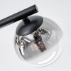 Chehalis Plafoniera, Lampada a sfera Ambrato, Chiaro, Grigio fumo, 3-Luci
