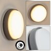 Duril Lampada da parete per esterno, Applique LED Antracite, 1-Luce