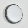 Duril Lampada da parete per esterno, Applique LED Antracite, 1-Luce