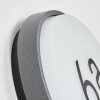 Duril Lampada da parete per esterno, Lampada per numero civico, Applique LED Antracite, 1-Luce