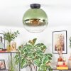 Koyoto Plafoniera, Lampada a sfera 12 cm Verde, Chiaro, 1-Luce
