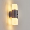 Felor Lampada da parete per esterno, Lampade Up & Down, Applique LED Antracite, 2-Luci, Sensori di movimento