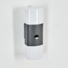 Felor Lampada da parete per esterno, Lampade Up & Down, Applique LED Antracite, 2-Luci, Sensori di movimento