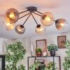Koyoto Plafoniera, Lampada a sfera 77.5 cm Ambrato, Chiaro, Grigio fumo, 6-Luci