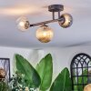 Chehalis Plafoniera, Lampada a sfera Ambrato, Chiaro, Grigio fumo, 3-Luci