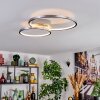 Fenar Plafoniera LED Alluminio, Cromo, 1-Luce