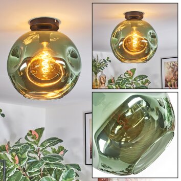 Ripoll Plafoniera, Lampada a sfera Verde, 1-Luce