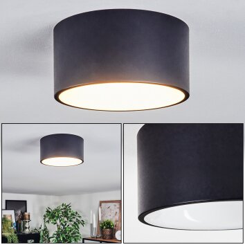 Falor Plafoniera LED bianco opaco, 1-Luce