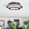 Lidor Plafoniera LED Oro, Nero, 1-Luce