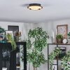 Lidor Plafoniera LED Oro, Nero, 1-Luce