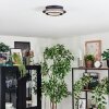 Lidor Plafoniera LED Oro, Nero, 1-Luce
