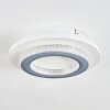 Lidor Plafoniera LED Grigio, Bianco, 1-Luce