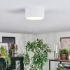 Falor Plafoniera LED Bianco, 1-Luce