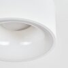 Falor Plafoniera LED Bianco, 1-Luce
