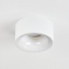 Falor Plafoniera LED Bianco, 1-Luce