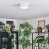 Falor Plafoniera LED Bianco, 1-Luce