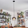 Koyoto Lampadario a sospensione, Lampada a sfera, Lampada a sospensione Chiaro, Grigio fumo, 1-Luce
