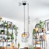 Koyoto Lampadario a sospensione, Lampada a sfera, Lampada a sospensione Ambrato, Chiaro, 1-Luce