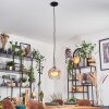 Koyoto Lampadario a sospensione, Lampada a sfera, Lampada a sospensione Ambrato, Chiaro, 1-Luce