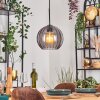 Koyoto Lampadario a sospensione, Lampada a sfera, Lampada a sospensione Grigio fumo, 1-Luce