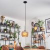 Koyoto Lampadario a sospensione, Lampada a sfera, Lampada a sospensione Ambrato, 1-Luce