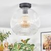 Ripoll Plafoniera, Lampada a sfera Chiaro, 1-Luce