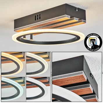 Galen Plafoniera LED Aspetto del legno, Nero, 1-Luce