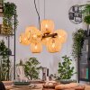 Basto Lampadario a sospensione, Lampada a sfera, Lampada a sospensione Écru, 8-Luci
