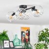 Koyoto Plafoniera, Lampada a sfera Chiaro, 4-Luci