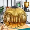 Koyoto Lampadario a sospensione, Lampada a sfera, Lampada a sospensione 20 cm Oro, Chiaro, 1-Luce