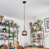 Koyoto Lampadario a sospensione, Lampada a sfera, Lampada a sospensione Blu, 1-Luce
