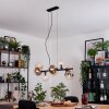 Gastor Lampadario a sospensione, Lampada a sfera, Lampada a sospensione Ambrato, Chiaro, Grigio fumo, 8-Luci
