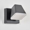 Fanel Lampada da parete per esterno, Applique, Faretto da parete LED Antracite, 1-Luce