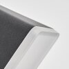 Fanel Lampada da parete per esterno, Applique, Faretto da parete LED Antracite, 1-Luce