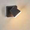 Fanel Lampada da parete per esterno, Applique, Faretto da parete LED Antracite, 1-Luce