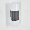 Felor Lampada da parete per esterno, Lampade Up & Down, Applique LED Antracite, 2-Luci