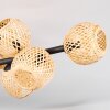Basto Plafoniera, Lampada a sfera Écru, 10-Luci