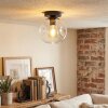 Ripoll Plafoniera, Lampada a sfera Chiaro, 1-Luce