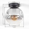 Ripoll Plafoniera, Lampada a sfera Chiaro, Grigio fumo, 1-Luce