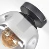Ripoll Plafoniera, Lampada a sfera Chiaro, Grigio fumo, 1-Luce