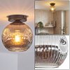 Ripoll Plafoniera, Lampada a sfera Grigio fumo, 1-Luce
