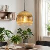 Koyoto Lampadario a sospensione, Lampada a sfera, Lampada a sospensione Oro, Chiaro, 1-Luce