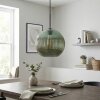 Koyoto Lampadario a sospensione, Lampada a sfera, Lampada a sospensione Verde, 1-Luce
