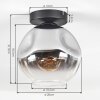 Ripoll Plafoniera, Lampada a sfera Cromo, Chiaro, Grigio fumo, 1-Luce