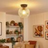 Ripoll Plafoniera, Lampada a sfera Chiaro, 1-Luce